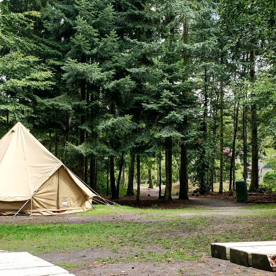 tipitent Kodama Camp